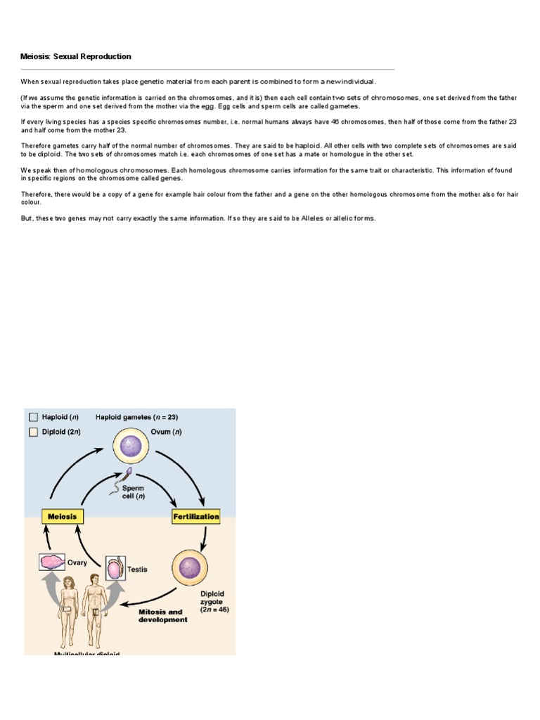 Understanding Meiosis in Sexual Reproduction | PDF | Meiosis | Mitosis