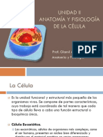 Unidad II Anatomia Y Fisiología de La Celula