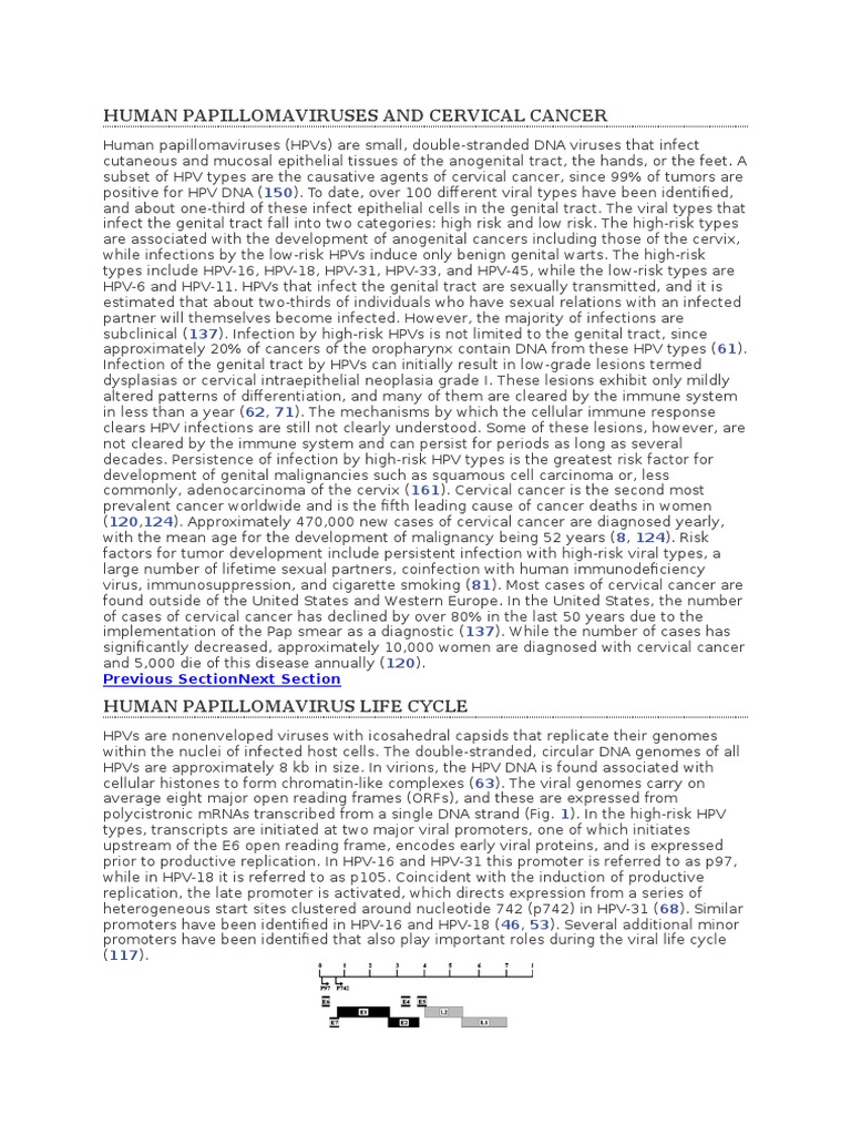 Human Papillomaviruses and Cervical Cancer Patogenesis | PDF | Cervical ...