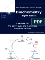 Biochemistry8e Ch20ed