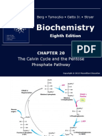 Biochemistry: Eighth Edition