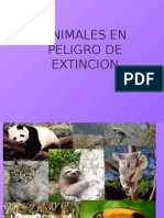 Animales Peligro Extincion[1]