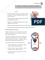 aparato-circulatorio.pdf