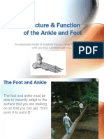 Strucfootanklebjb PDF