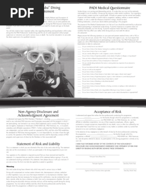 DSDRelease Medical v1 EU | PDF | Scuba Diving | Underwater Diving