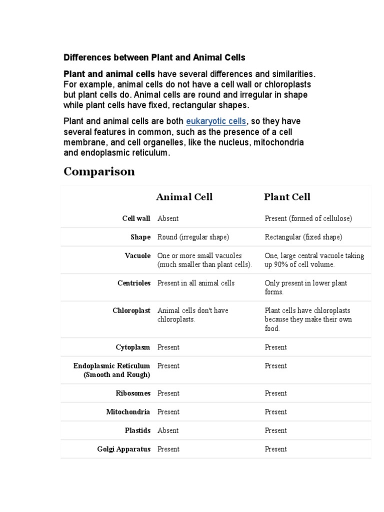 Plant vs Animal Cell Differences | PDF