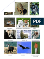 Animales en Peligro de Extinción PDF