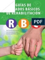 Guia Cuidados basicos en rehabilitacion-CBR-2010.pdf