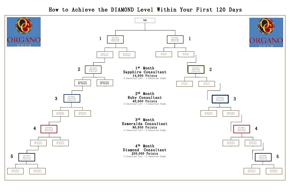Achieving Diamond Level in 120 Days | PDF | Gemstone
