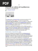 Download PCR by Nancy Perez SN31999496 doc pdf