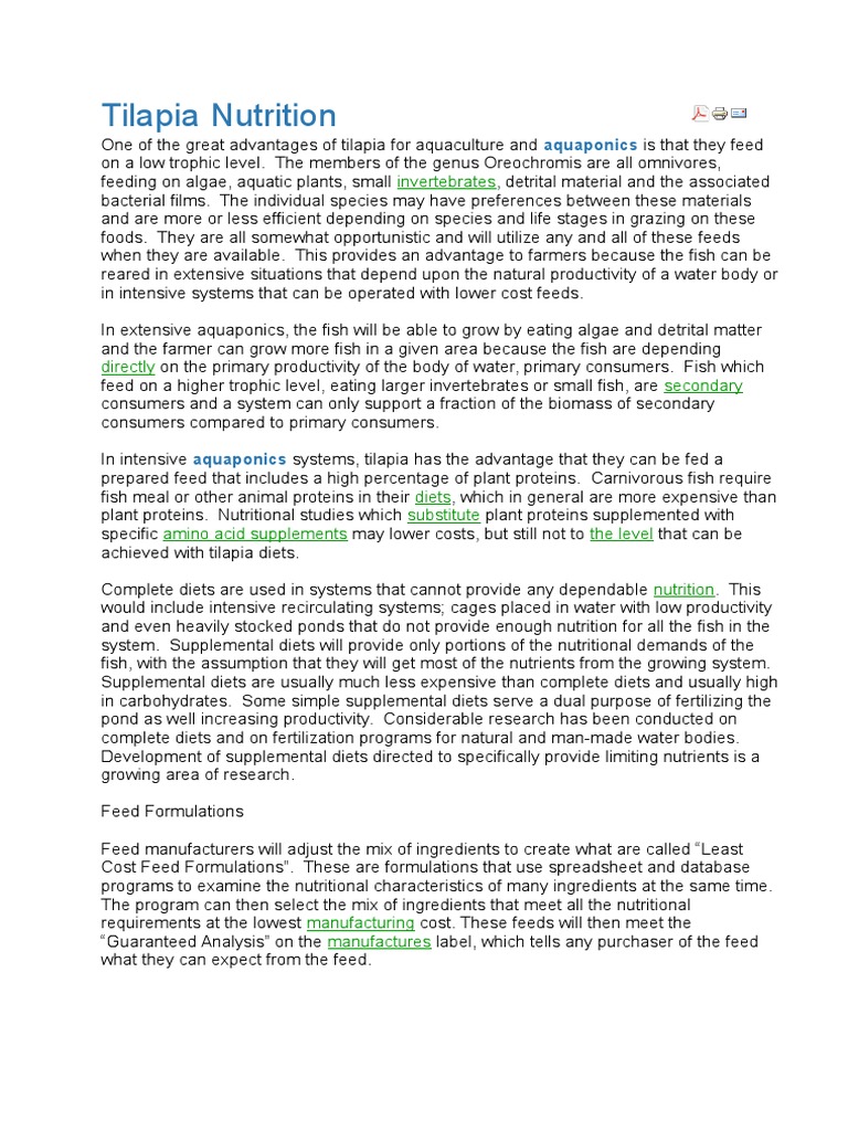 Tilapia Nutrition Aquaponics Food 