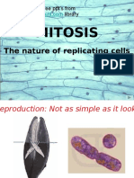 Cell Division Cancer