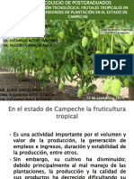 Frutales Densidad Caso Campeche