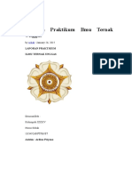 Laporan Praktikum Ilmu Ternak Unggas
