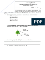 Minificha (1).pdf