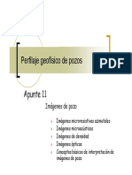PERFILAJE GEOFÍSICO DE POZOS - Clase 4-2010 PDF