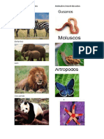 Animales Vertebrados