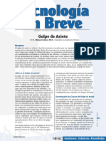 rESUMEN DE gOLPE DE ARIETE.pdf