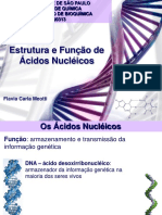 Estrutura_e_Funcao_de_Acidos_Nucleicos.pdf