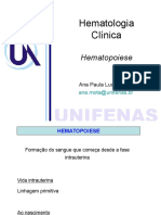 Aula 1 Hematopoese