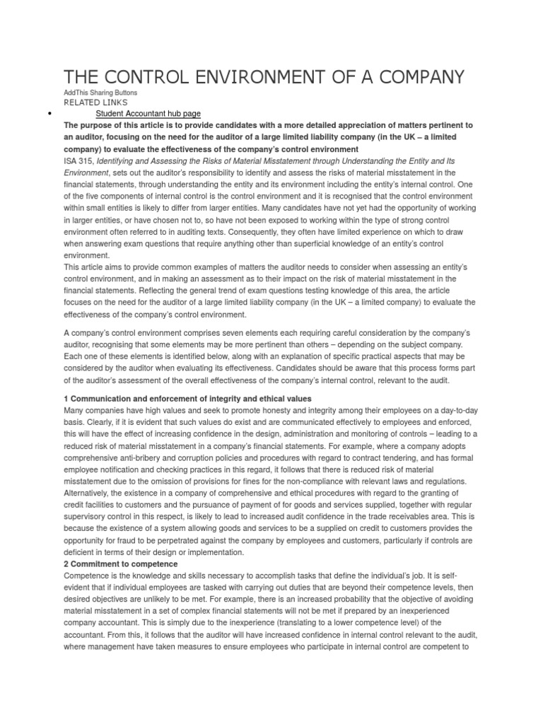 The Control Environment of A Company PDF Risk Audit