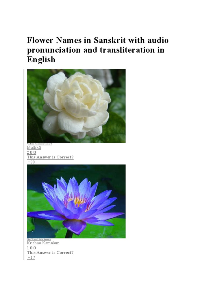 Flower Names in Sanskrit With Audio Pronunciation and Transliteration
