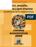 Micro Pequeña Mediana y Gran Empresa PDF