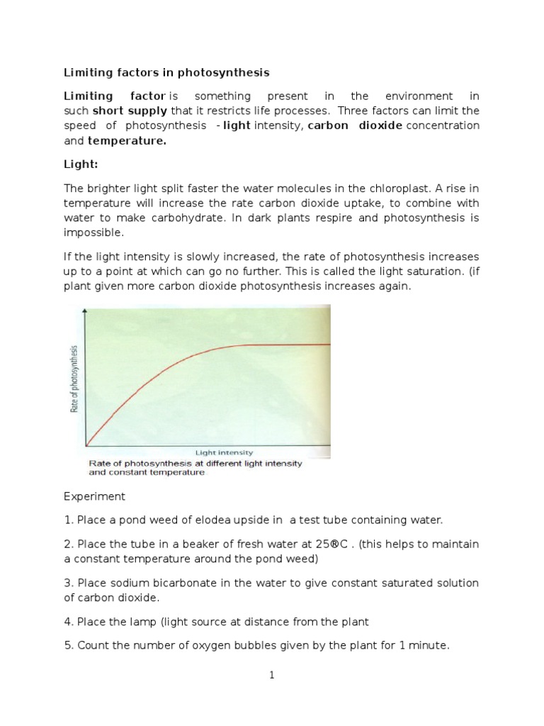 Limiting Factor In Photosynthesis PDF Photosynthesis Carbon Dioxide