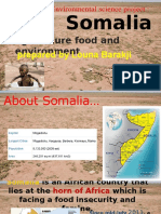Somalia: Agriculture Food and Environment