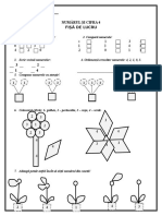 Cifra 4 Fisa de Lucru