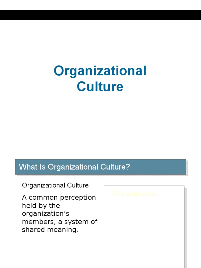 Understanding Organizational Culture | PDF | Organizational Culture ...