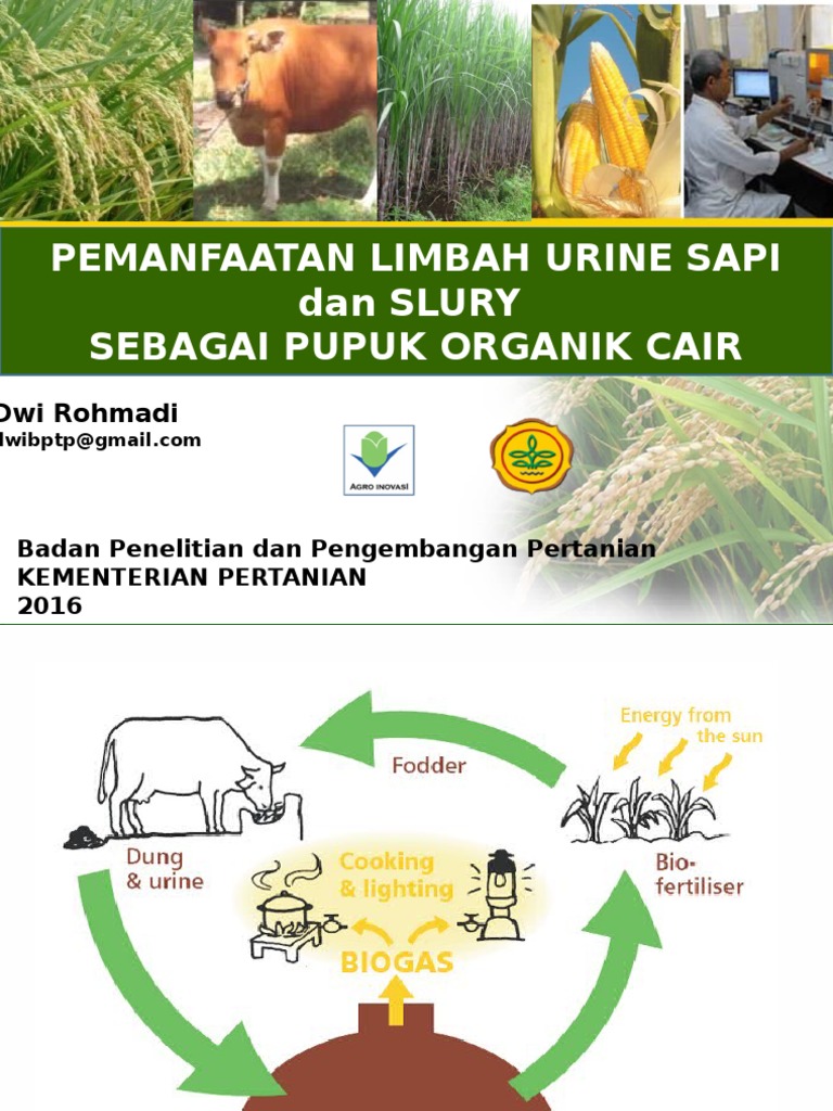 Bio Urine | PDF | Sains & Matematika