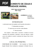 Abastecimento de Água e Sanidade Animal - Slide