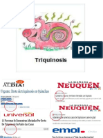 Triquinosisoas Prodesal Maitenrehue