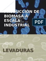 Produccion de Biomasa