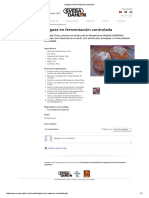 Hogaza en Fermentación Controlada PDF
