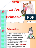 Perfil Primarios.ppt