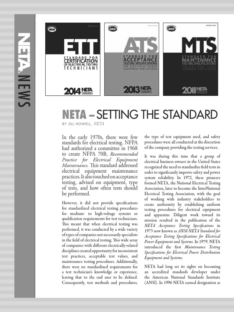 NETA MAINTENANCE TESTING SPECIFICATIONS PDF visual data 7