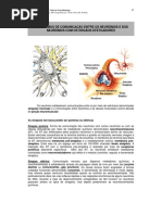 APOSTILA sinapse - UNESP.pdf