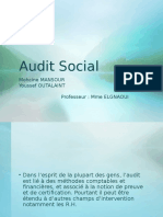 Audit Social (1)