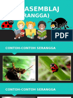 SERANGGA