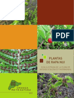 Plantas de RapaNui UMTN PDF