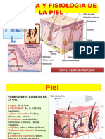 anatomiayfisiologiadelapiel-131114122848-phpapp02.pptx