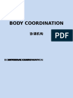BODY COORDINATION Translated