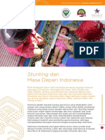 MCAIndonesia Technical Brief Stunting ID