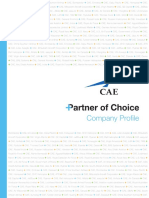 CAE_Company_Profile-en.pdf