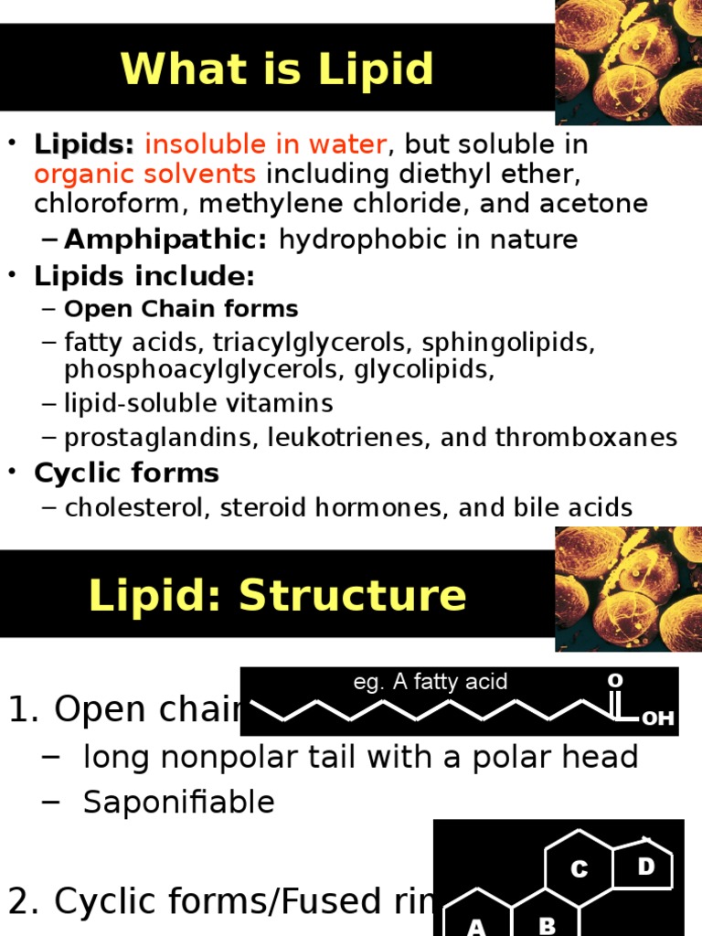 Understanding Lipid Solubility and Types | PDF | Lipid | Triglyceride