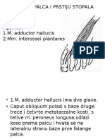 Kineziometrija 2.pptx