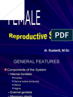 Female Reproductive System-Ss