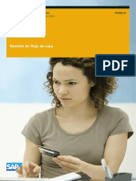 Cash Flow Management PDF